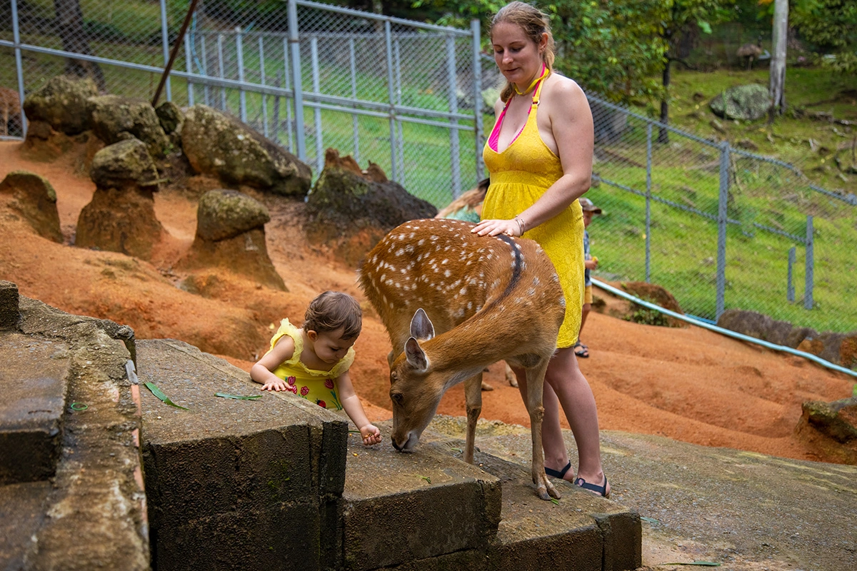 Brevard Zoo: A Must-See Melbourne Florida Attraction