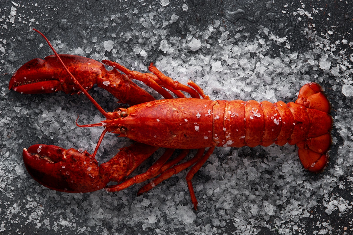 Can Lobster Tails Be Frozen?