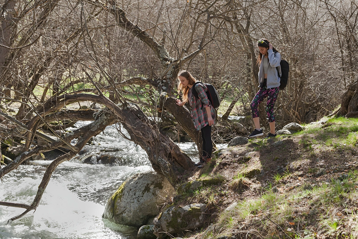 Check Out Sea Dragon Pirate Cruise​