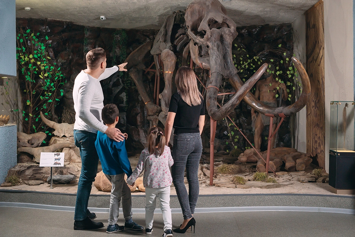 Discover the Museum of Life and Science