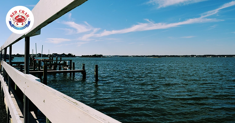 Things to do in Lake Worth, FL