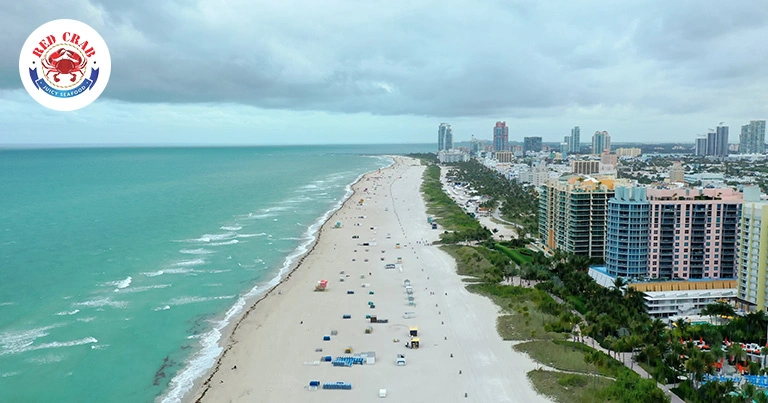 Things to do in West Palm Beach, FL