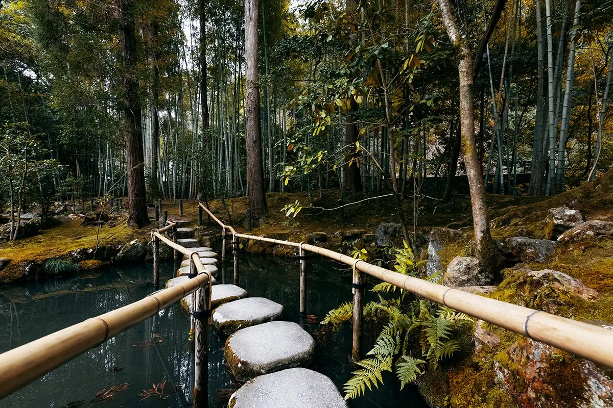 Enjoy a Day at Croft State Park