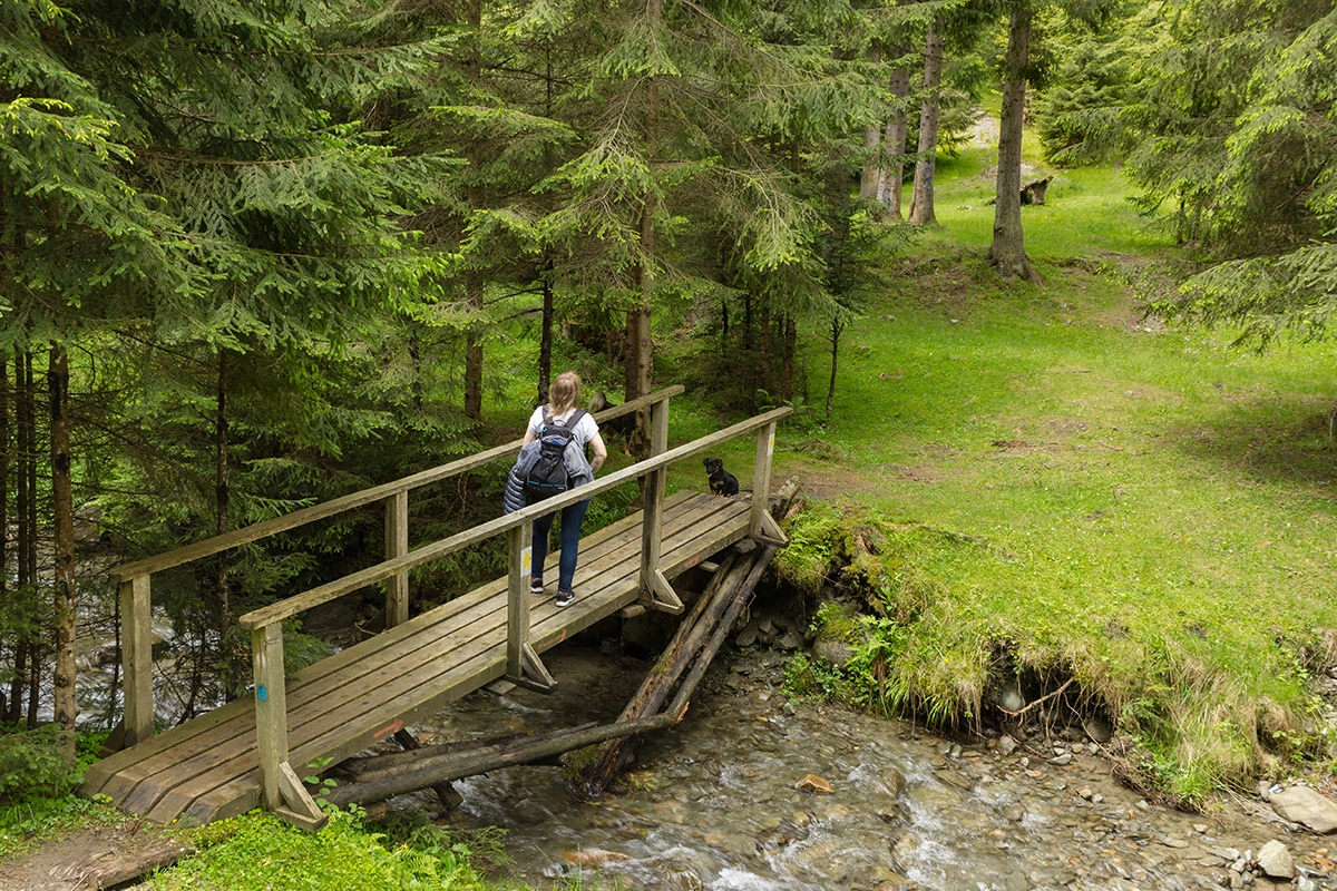 Explore Nature at Eno River State Park