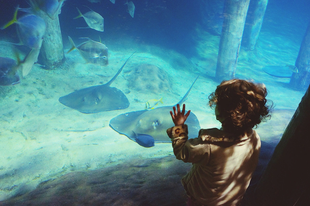 Explore Science and Creativity at Children’s Museum of the Treasure Coast