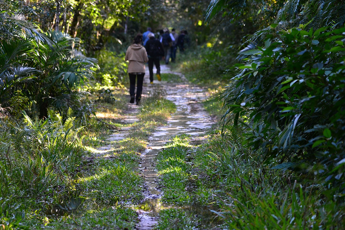 Explore the Flushing Meadows Corona Park
