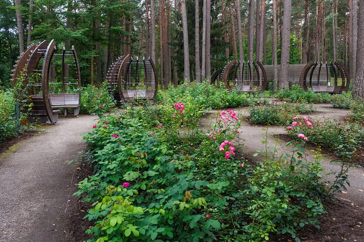 Explore the Hatcher Garden and Woodland Preserve
