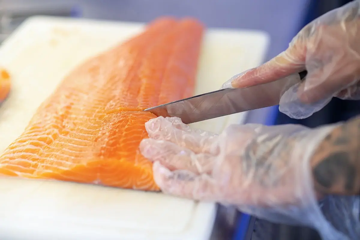 Farmed Salmon