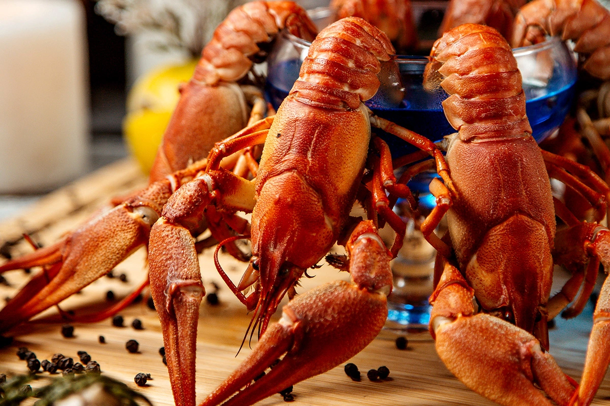 Ideal Broiling Time for Tender Lobster Tails