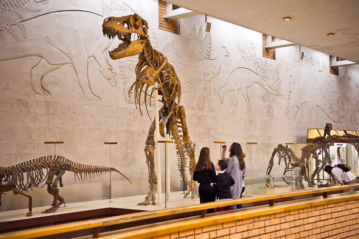Indoor Exhibits at Houston Museum of Natural Science