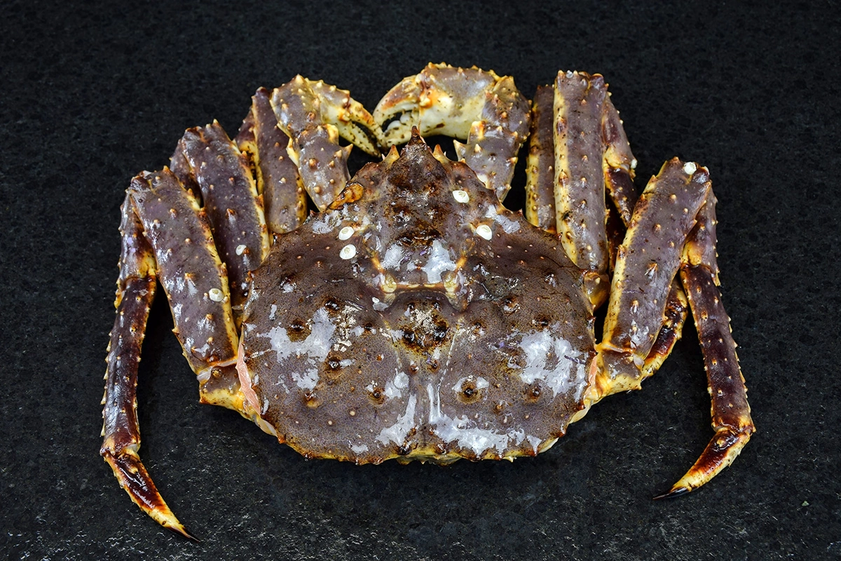 King Crab Flavor