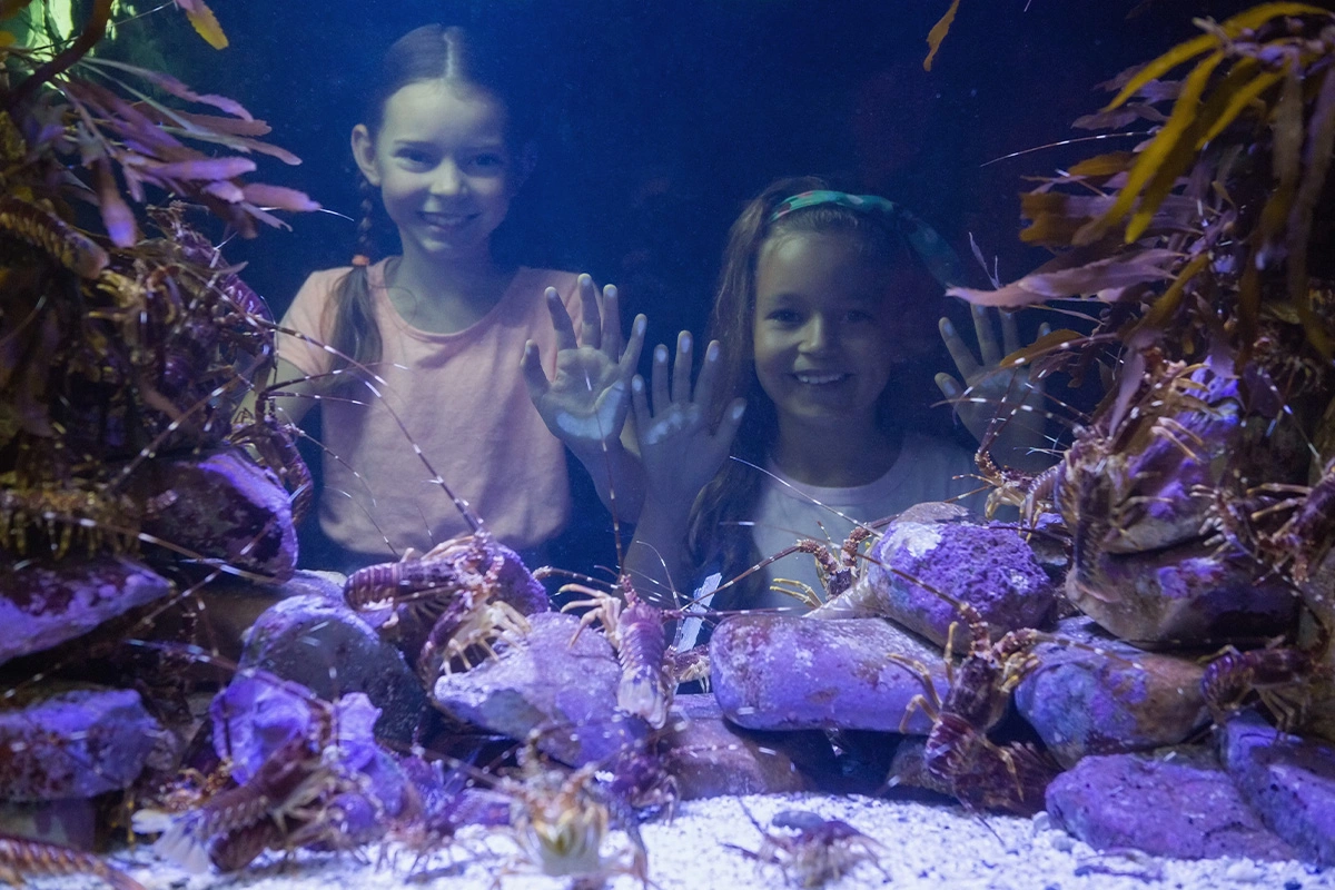 LegaSea Aquarium & The Reptarium: Explore Marine Life and Exotic Creatures