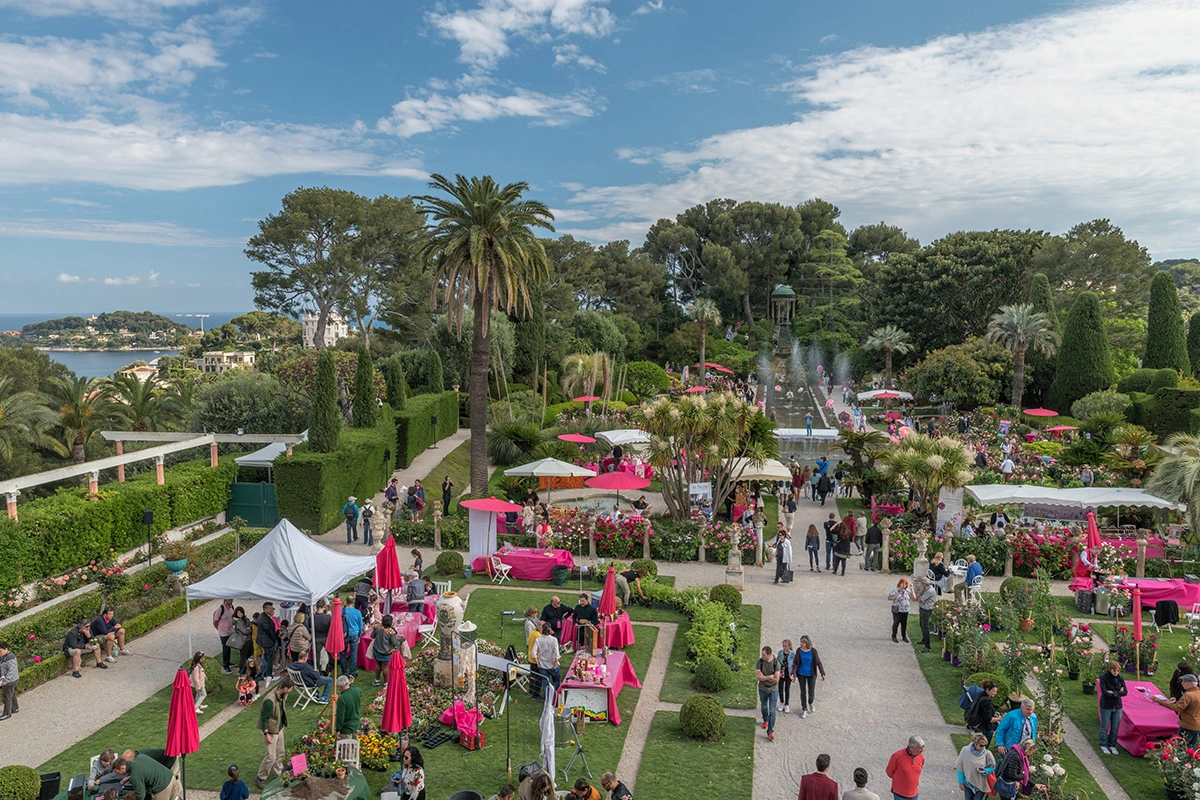 Local Events and Seasonal Festivals