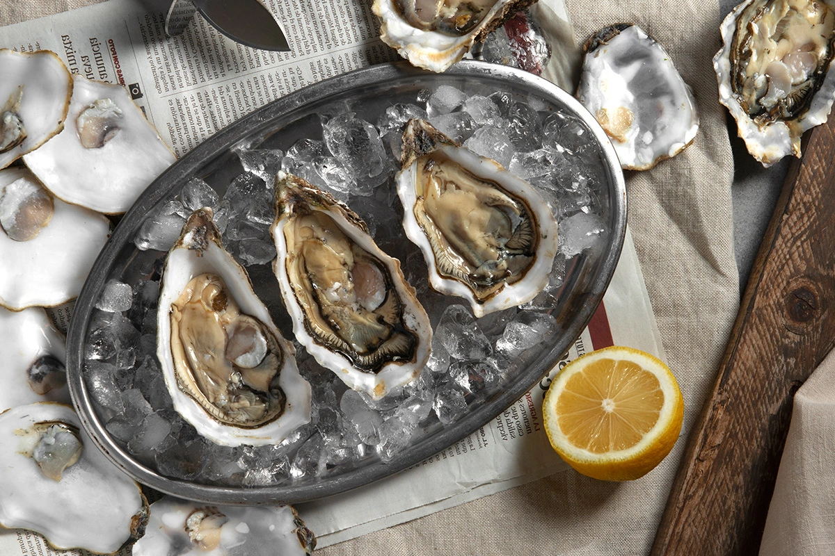 Steamed Oysters Basics and Cooking Benefits