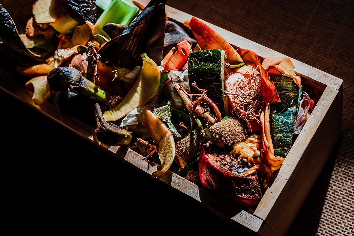 Traditional vs. Modern Cajun Seafood Boil