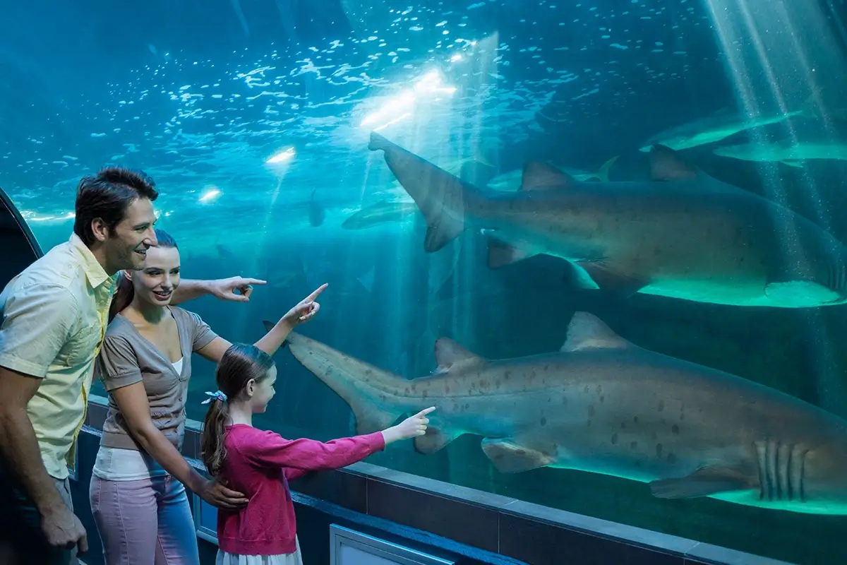 Underwater Adventures at Downtown Aquarium