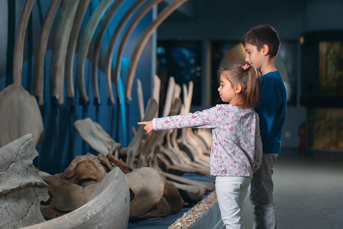 Visit the Children’s Museum of the Treasure Coast