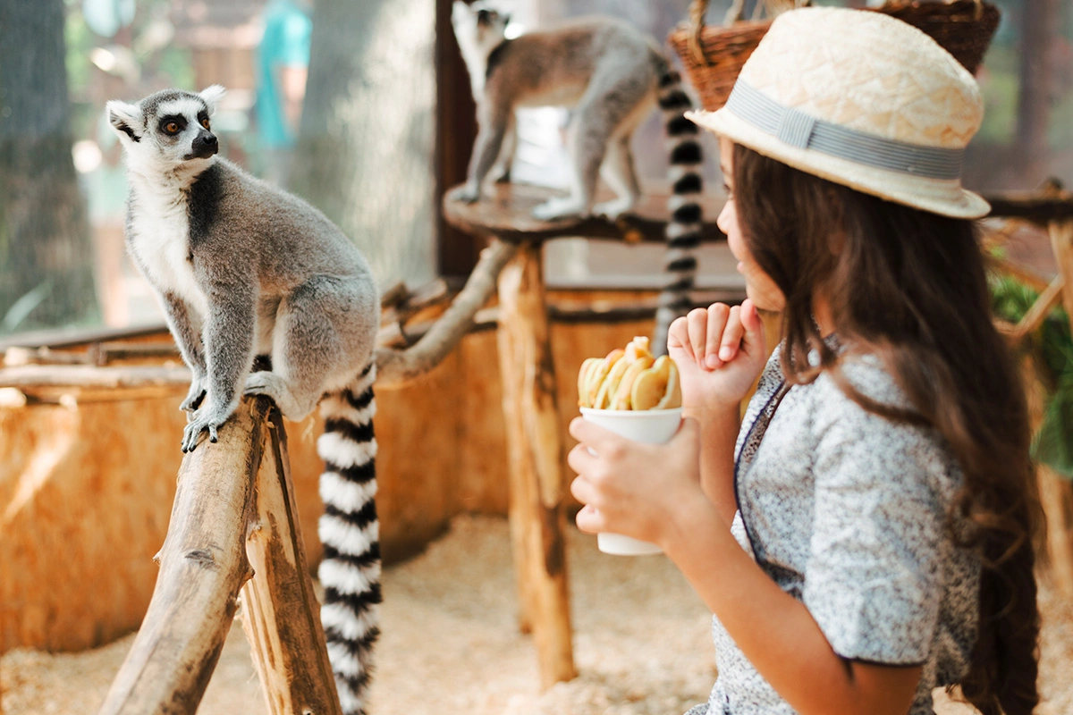 Visit the EcoTarium
