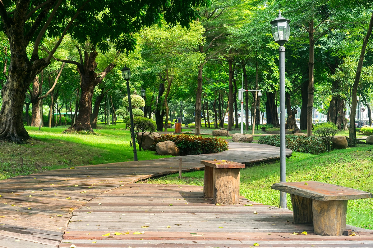 Walk around Elm Park