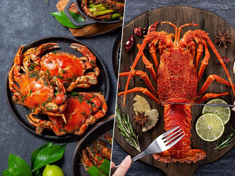 Crab vs Lobster