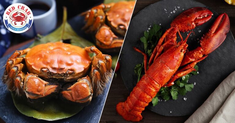 understanding-the-differences-between-crab-and-lobster-healthy-food-choices-blog-featured-image