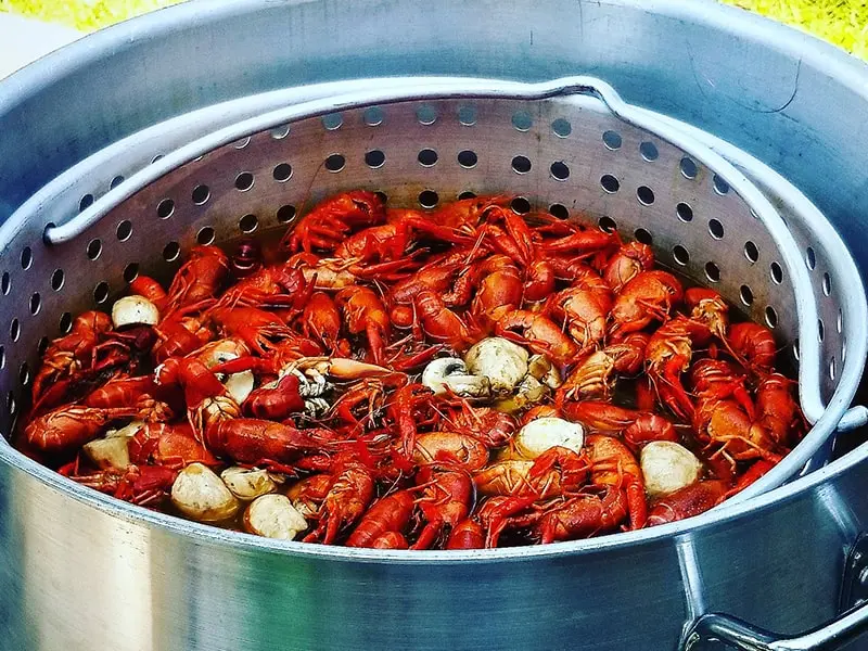 Is it Alright to Boil Crawfish?