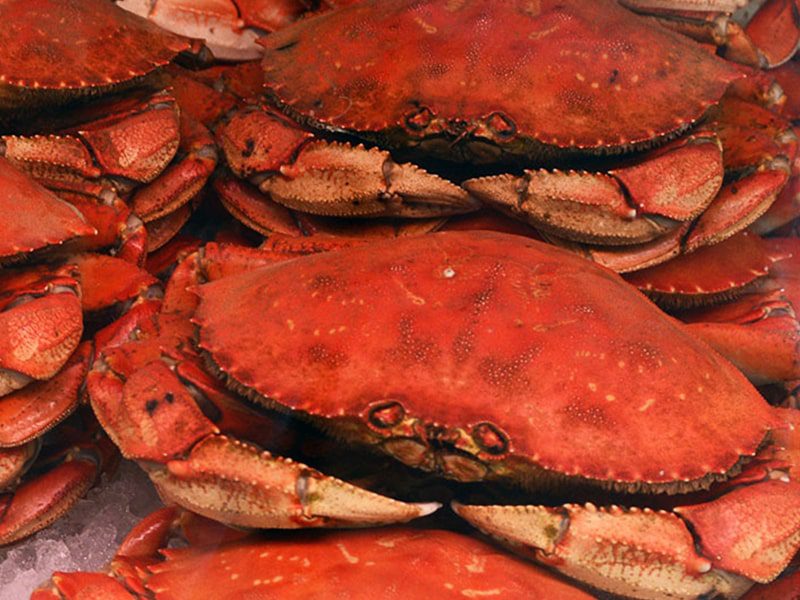 Storing of crabs for crab boil