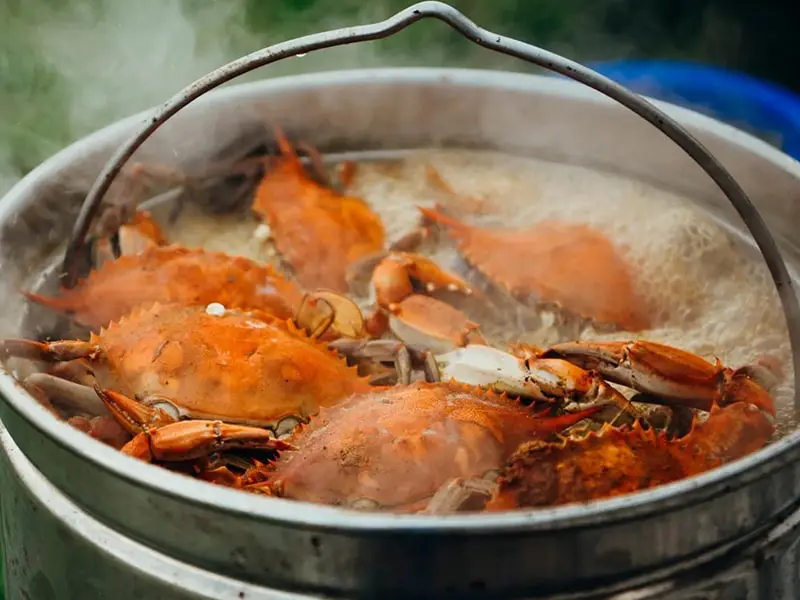 preparing-the-boil