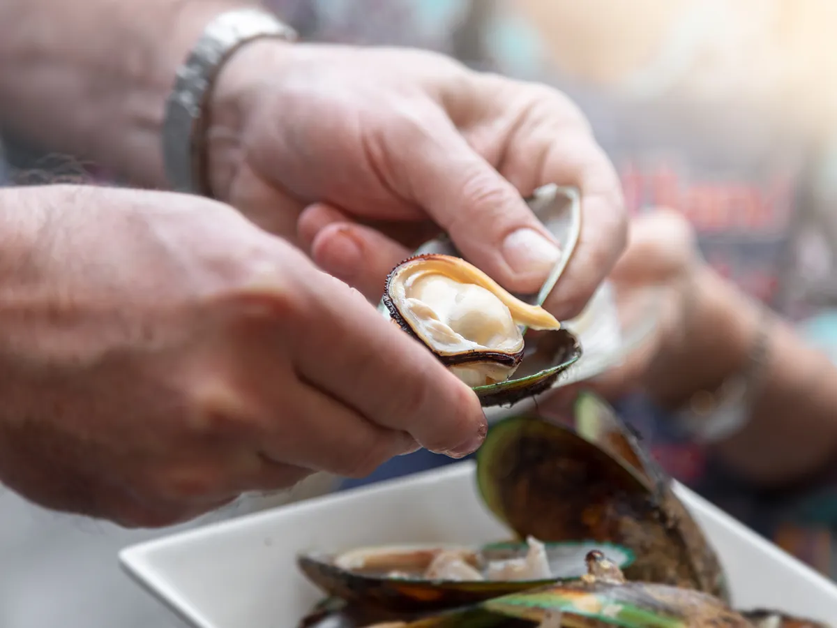 Tips for Selecting Fresh Clams