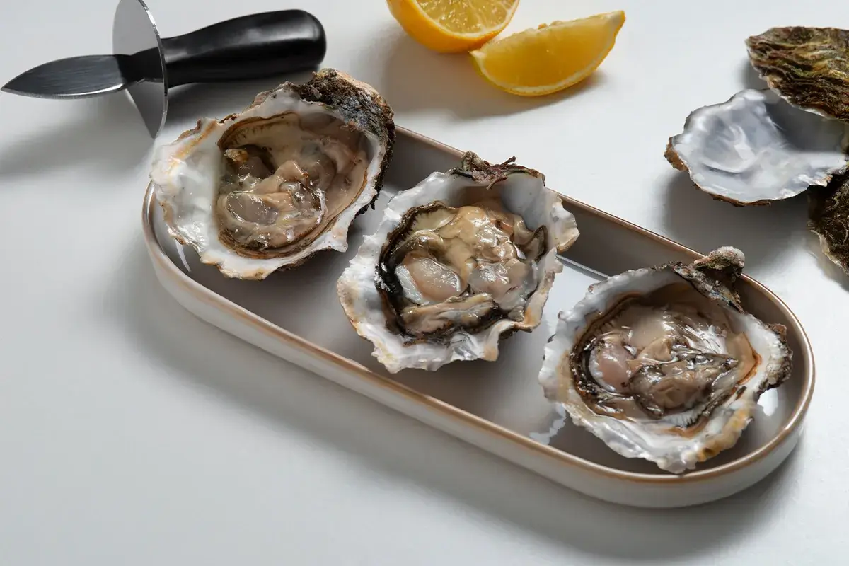 Steamed Oysters Recipe