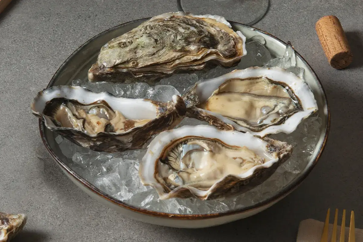 Myth #5: Bigger or Pricier Oysters Are Better