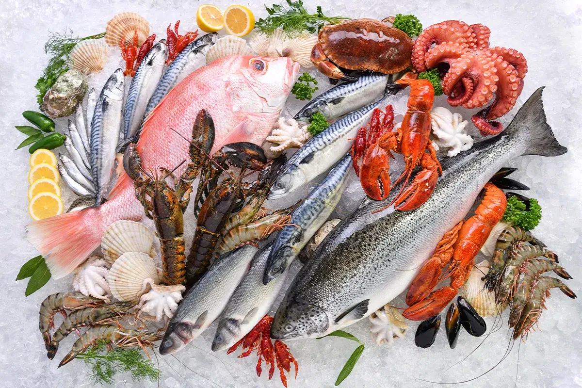 The Love Of Seafood And The Importance Of Seasoning