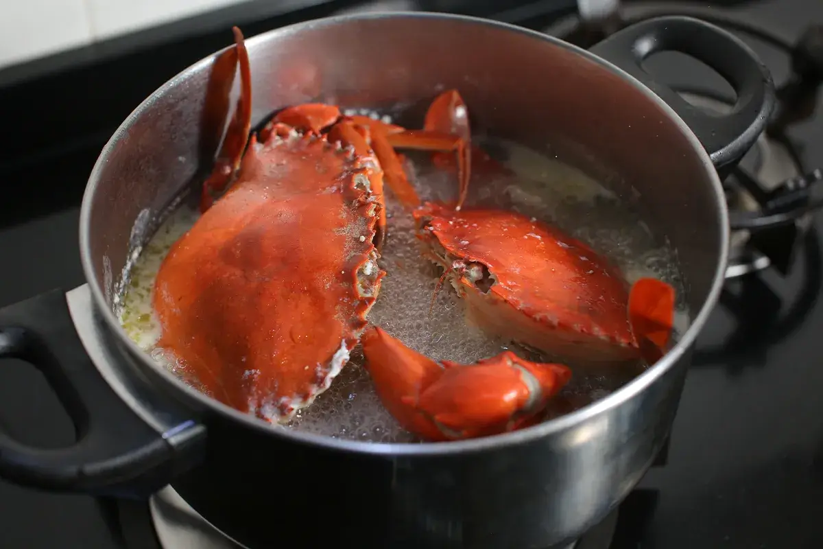 Understanding Crab Boil