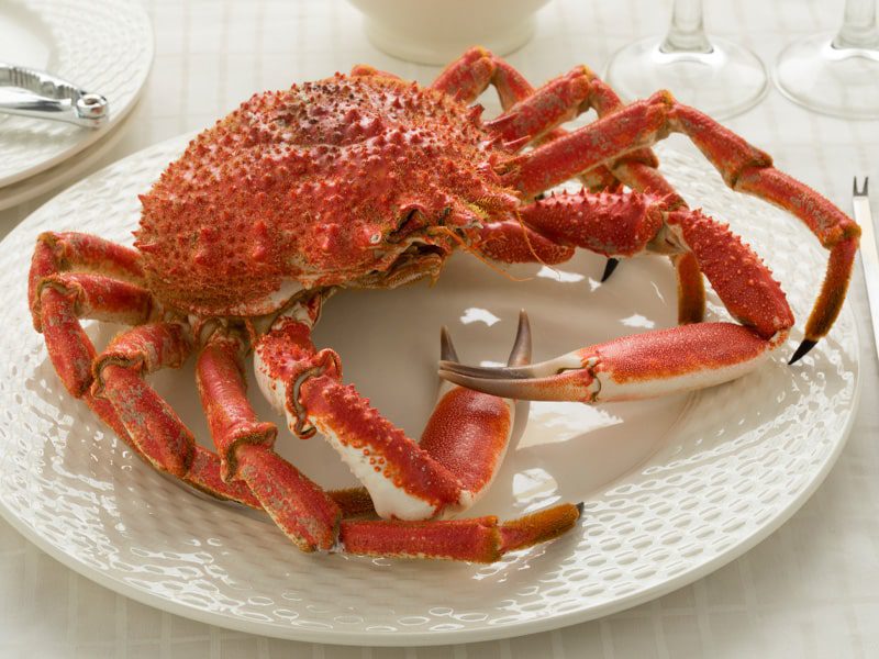 Crab