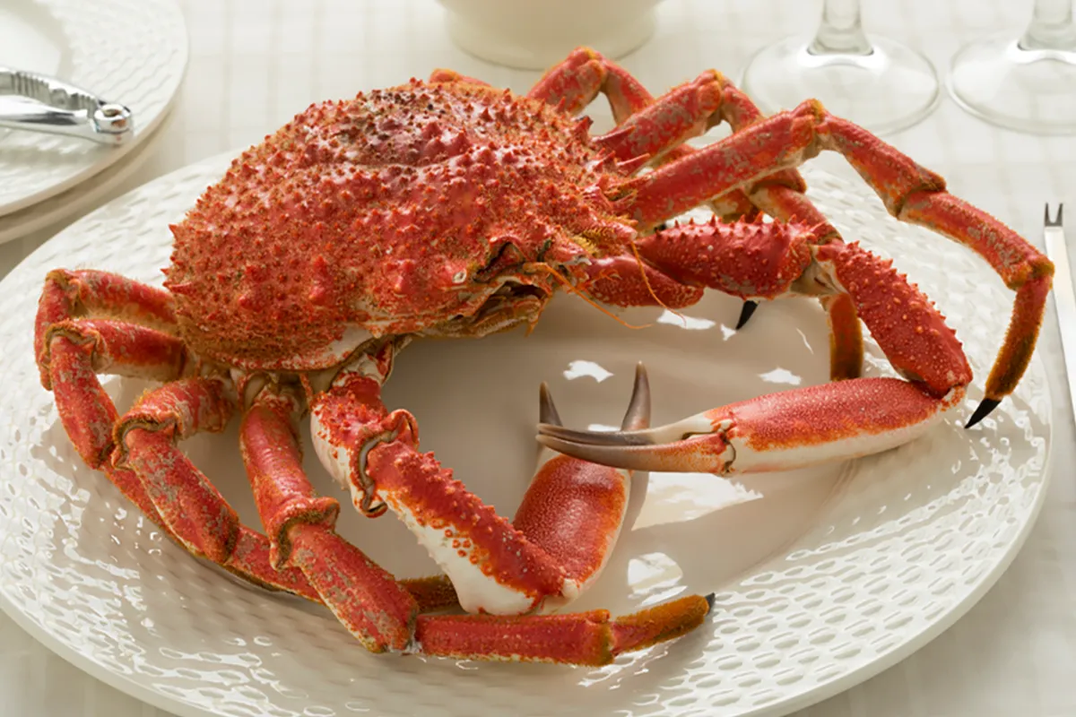 Crab