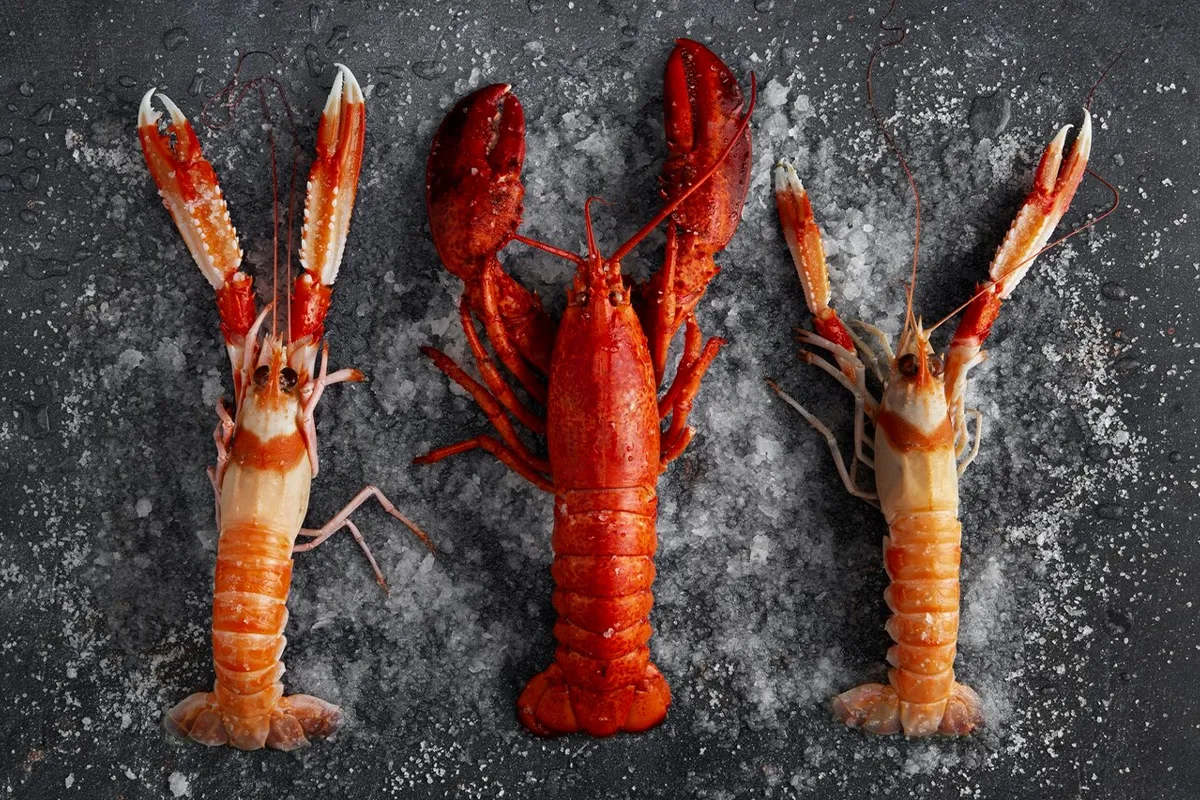 Mistake 5: Not Pairing Lobster with the Right Sides