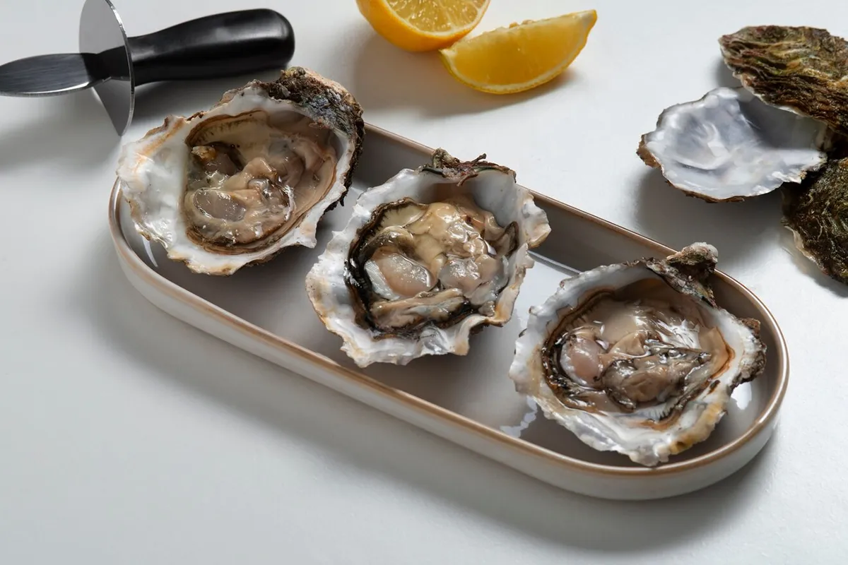 How long will fresh oysters keep before they should be consumed?