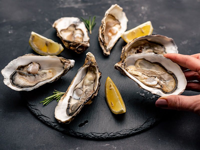 Oysters