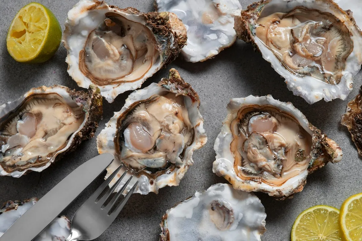 Oysters