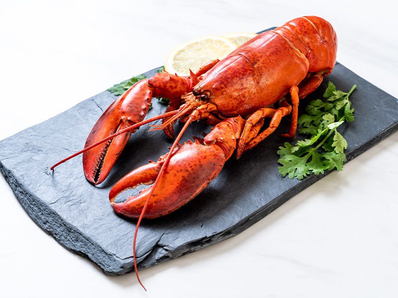 How to Choose the Perfect Lobster