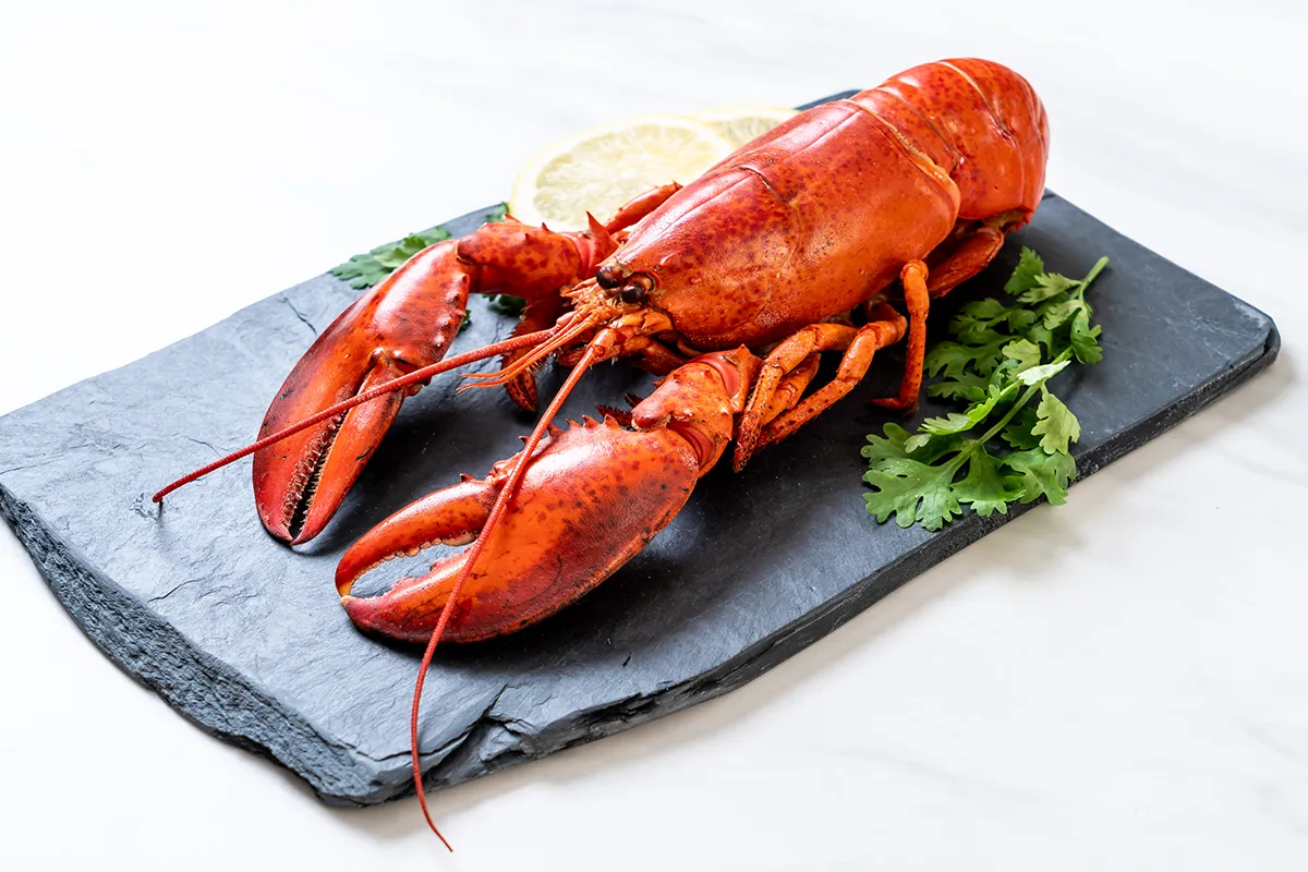 How to Choose the Perfect Lobster