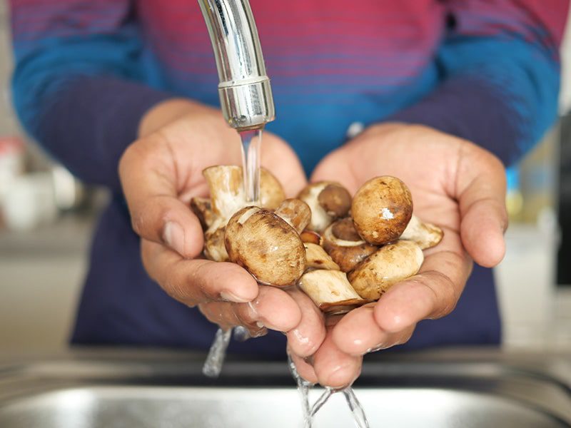Washing and Preparing Mushrooms