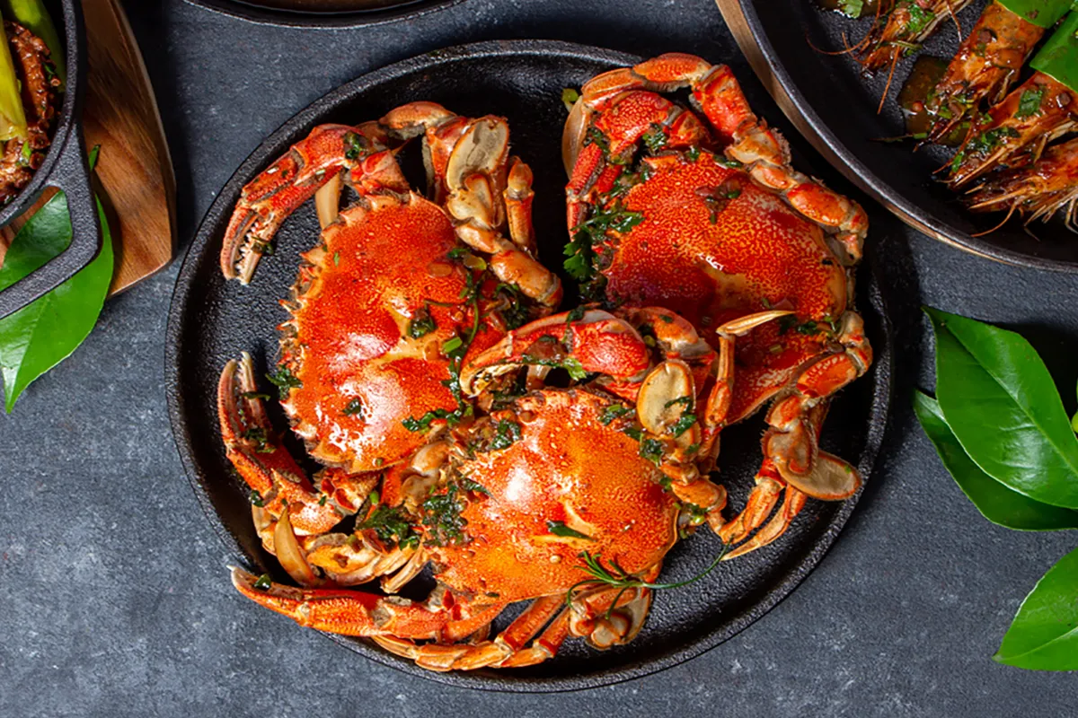 Dungeness Crab or King Crab