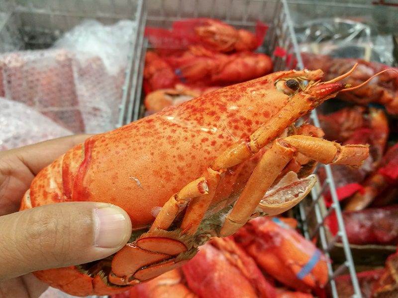 Tips for Buying and Handling Lobster