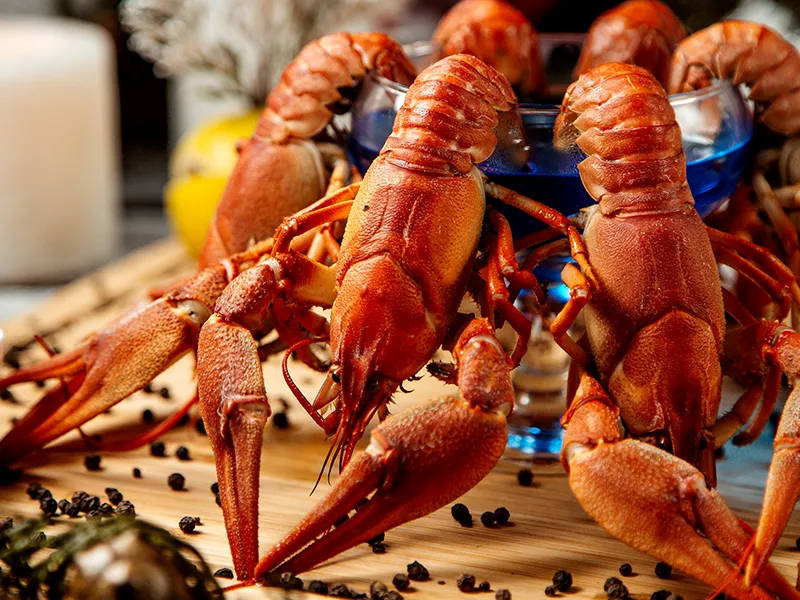 Choose fresh lobster!